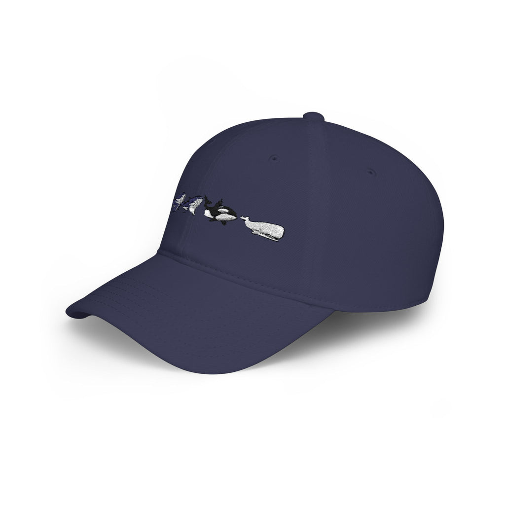 Whale Tail Embroidered Baseball Cap — Minimal Coastal Dad Hat