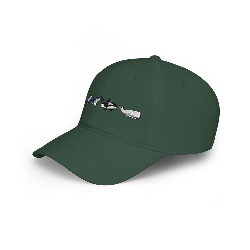 Whale Tail Embroidered Baseball Cap — Minimal Coastal Dad Hat